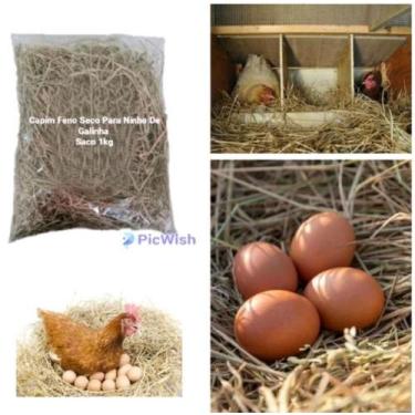 Imagem de Ninho Aves Capim Feno Seco Ninho De Galinha Saco 1kg - JF JARDINAGEM