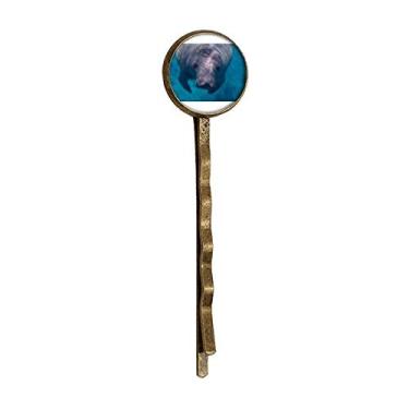 Imagem de Fotografia de organismo marinho imagem animal retrô metal cabelo grampo chapéu