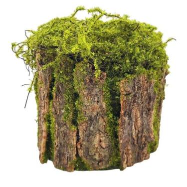 Imagem de Toco Decorativo Madeira e Musgo Artificial (18cm) SMO