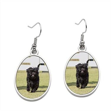 Imagem de Brinco de cachorro Affenpinscher – Brincos com pingente para meninas – Presente de festa de aniversário dos namorados