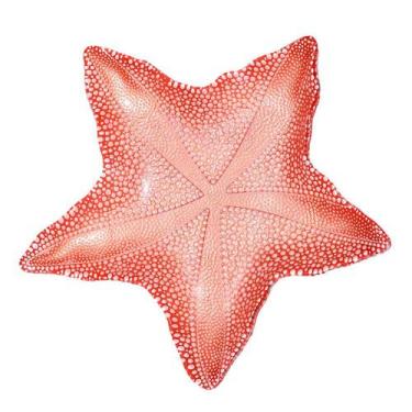 Imagem de Prato de Vidro Estrela do Mar Grande Coral Marina 28 x 3cm - Vylux