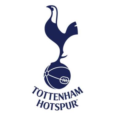 Imagem de 50 pçs - stickers figurinhas - Times Internacionais - Champions - Amér