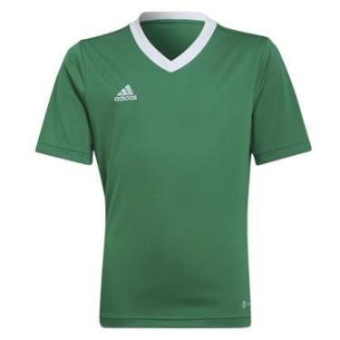 Imagem de Camiseta Adidas Entrada 22 Infantil - Verde 7-8-Unissex