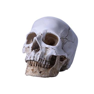 Imagem de MOOKEENONE 1 x réplica de resina ecológica vida anatomia humana crânio barra colecionável decoração ensino