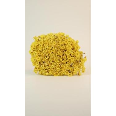 Imagem de Flores Secas Amarelas 30cm - Arranjo Natural - Congratulations Store