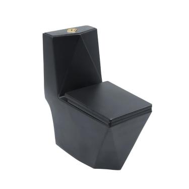 Imagem de Vaso Sanitário Monobloco Opala Pingoo.casa - Preto