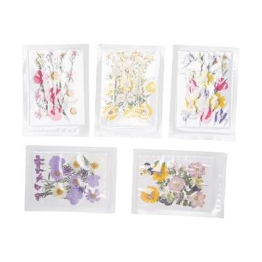 Imagem de Generic Conjunto de Flores Secas Prensadas, 100 Peças Lindo Conjunto de Flores Prensadas Reais para Artesanato, Design Elegante, ótimo para Artesanato Em Resina, álbuns de Recortes, Tamanho de Cartão Branco de 4,13 X 5,71 pol., Presentes Exclusivos (planta 5)