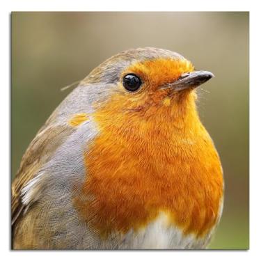 Imagem de 912 Wildlife Impressão em tela Robin Bird Redreast Poster Arte de parede para casa 1 peça Decorações Noframed 20.3 cmx20.3 cm