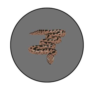 Imagem de Adesivo Decorativo Redondo, Tema Animais, 250mm, Vários Modelos (ANM247, COUCHÉ230, 250 MM)