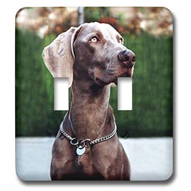Imagem de 3dRose Lsp_1095_2 Interruptor duplo Weimaraner