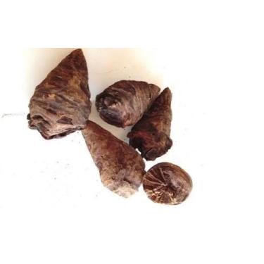 Imagem de Lenha Nó de Pinho para Lareira 10kg - GAUCHO