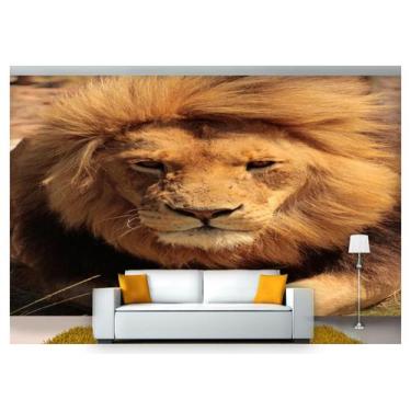 Imagem de Papel De Parede Animais Leão Olhando 3D Anm192 - Você Decora