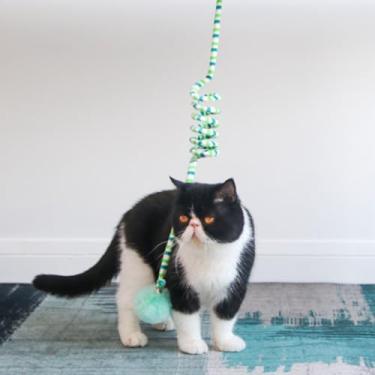 Imagem de aqxreight Brinquedos de Bola de Gato para Porta Suspensa, Divertidos, Aliviam o Tédio, Ventosa de Pelúcia Macia, Fixação, Brinquedos Interativos de Bola de Gato Com Sino para Interior, Roxo, (Verde)