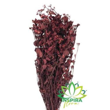 Imagem de Buque Flor Chuvisco Natural Desidratada Buque Flores Secas - Flora Ful