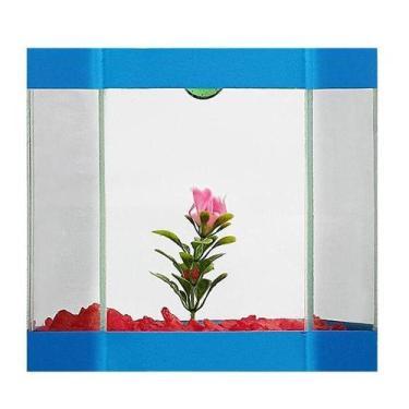 Imagem de Aquário Eden Peixes Beteira Decorado - Cores Sortidas - Design Aquario