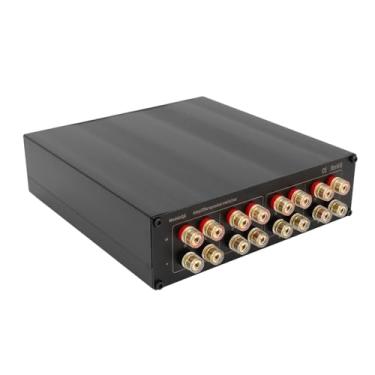 Imagem de Depisuta 2 Em 2 Fora Amplificador Speaker Selector Switchs, Banhado A Prata Switches Banhado A Ouro Banana Terminais 500W X 2 Power Handling, Motivos Independentes para Classe A B D