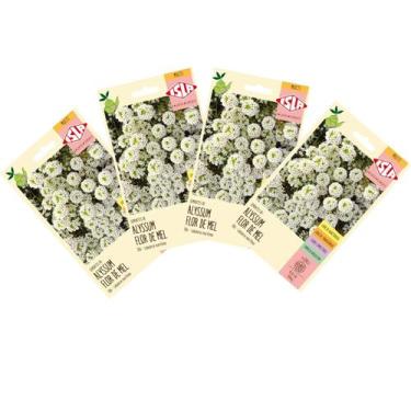 Imagem de 4X Sementes de Alyssum Flor de Mel ISLA
