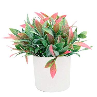 Imagem de ARRANJO ARTI.VASO BRANCO FOLHAGEM MIX