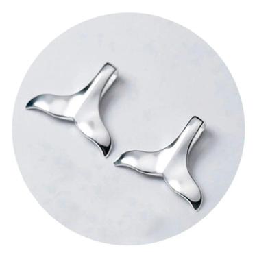 Imagem de Brinco Prata 925 Maciça Cola de Baleia 