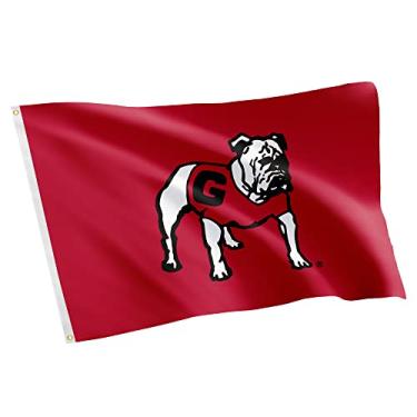 Imagem de Desert Cactus Bandeira da Universidade da Geórgia Bulldogs UGA Dawgs 100% poliéster interno externo 3 pés x 5 pés bandeira (Design 11)