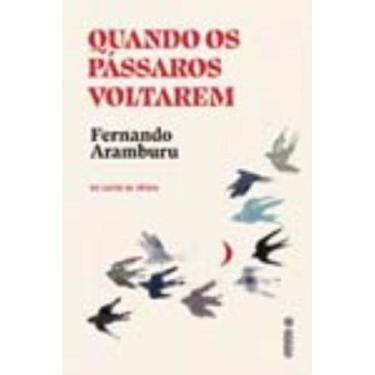 Imagem de Livro - Quando os pássaros voltarem - Intrínseca