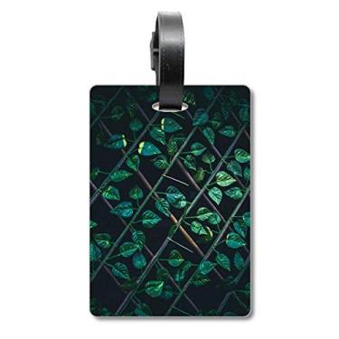 Imagem de Dewdrop Folha Planta Imagem Natureza Mala Etiqueta Etiqueta Cartão de Bagagem Scutcheon Etiqueta