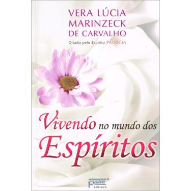 Imagem de Livro - Vivendo no mundo dos espíritos
