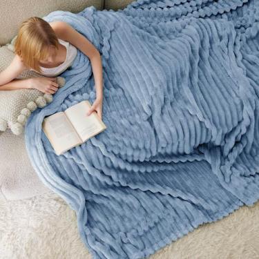 Imagem de Cobertor Queen Bedsure GentleSoft Cozy Flannel Fleece - Azul Ashley