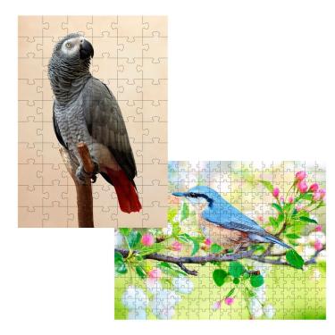 Imagem de 2 Quebra-cabeças Inclusivos 40 Peças Aves Belas Para Mentes Inteligentes