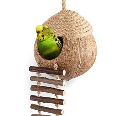 Imagem de andwe Cabana de ninho de coco com escada para papagaios periquito Conures Cacatiel - Animais pequenos Casa Gaiola para animais Decoração de habitats