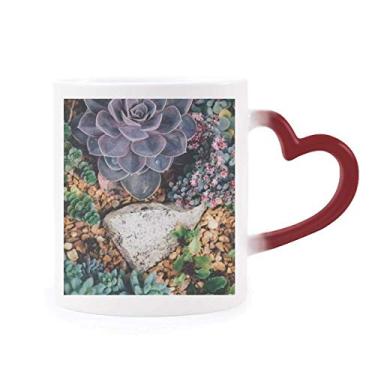 Imagem de Caneca de flor de pedra ciência natureza cenário sensível ao calor caneca de grés muda de cor vermelha