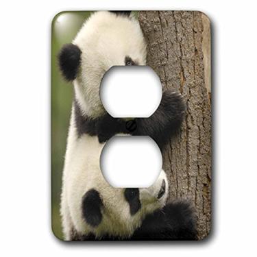 Imagem de 3dRose lsp_70216_6 Ursos Panda Gigantes, Conservação Wolong, Tampa de tomada China