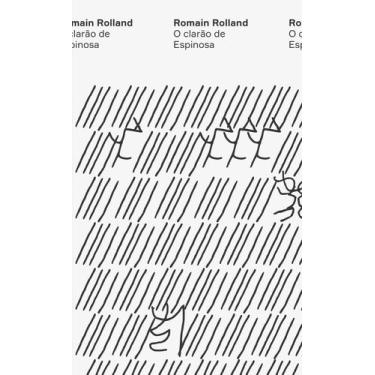 Imagem de Livro - O clarão de Espinosa