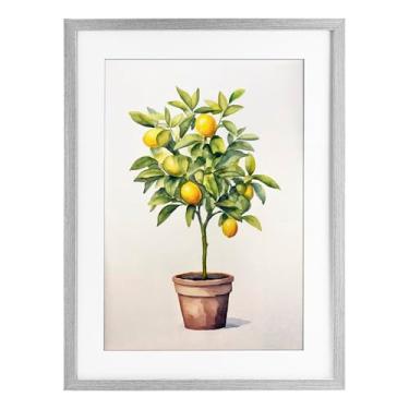 Imagem de Stupell Industries Impressão emoldurada cinza serenata árvore cítrica sob vidro design por Andrea Haase, 23 x 17