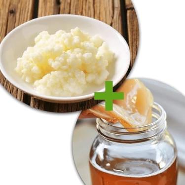 Imagem de Kit Kombucha Kefir de Leite e Kefir de Agua Com Assessoria no Cultivo e Criação