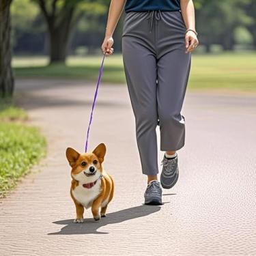 Imagem de Trelas para cães de estilo tradicional de 1,8 m, gancho de coleira forte, para cães pequenos, médios e grandes (5/20.3 cm x 1.8 m, roxo)