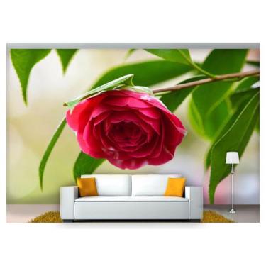 Imagem de Papel De Parede Flores Floral Flor Natural 3D  Nfl155 - Você Decora