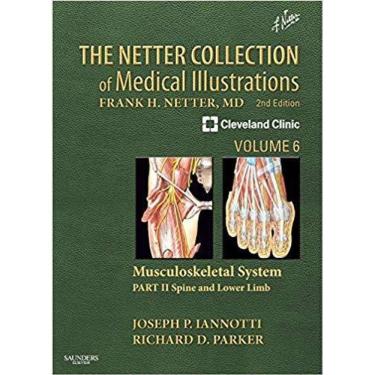 Imagem de The Netter Collection Of Medical Illust: Musculoskeletal Sys Vol 6 Part Ii