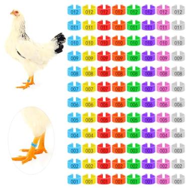 Imagem de 96 peças de faixas de perna de frango de 20 mm, 8 anéis de perna de frango numerados em cores, etiquetas de identificação para pernas, anéis de pé de aves, faixas de pernas para patos, ganso bantam