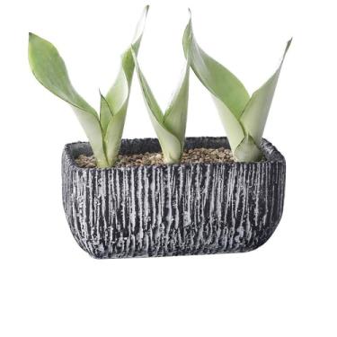 Imagem de hezhuhe2258 Macetas para plantas, vaso de flores pretas com linhas de veias, com orifícios de drenagem, retangulares, plantador de cimento para varanda, sala de estar, cozinha, recipiente de plantas