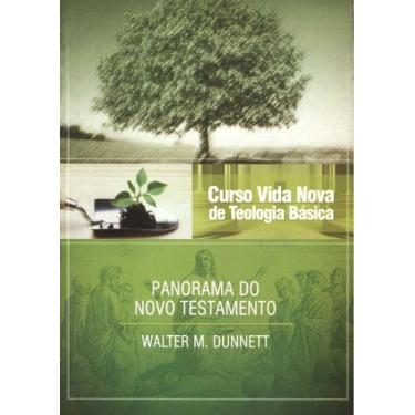 Imagem de Curso Vida Nova de Teologia Básica - Panorama do Novo Testamento Volum