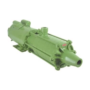 Imagem de Motobomba Centrifuga Schneider ME-AL 1420 2CV 127/220V