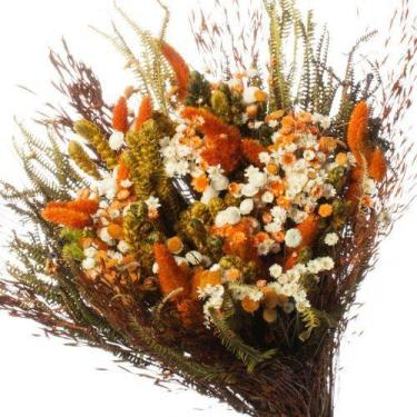 Imagem de Buque de Flores Seca Rabo de Coelho Gato Amarelo Decorar - Pense Flore