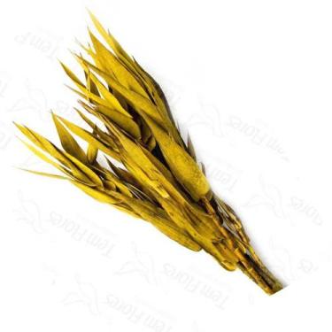 Imagem de Folha Navalha Capim Navalha Buque Flores Secas - Pense Flores, Amarelo