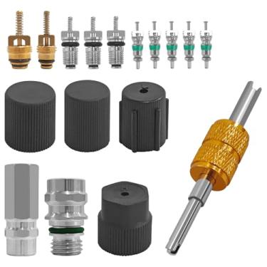 Imagem de SWQS Kit de núcleo de válvula de ar condicionado de 17 peças para Válvulas HVAC R12 ou R134a Ferramenta de remoção de núcleo com vedação de teflon Refrigeração A/C Válvula de serviço de porta lateral