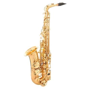 Imagem de Instrumento de saxofone profissional Saxofone E Flat Alto Saxofone Instrumento de Sopro Reforço Duplo Reforço Completo