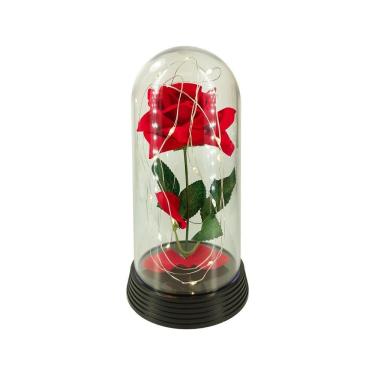 Imagem de Luminária Cúpula A Bela E A Fera A Rosa Encantada Amor Lindo