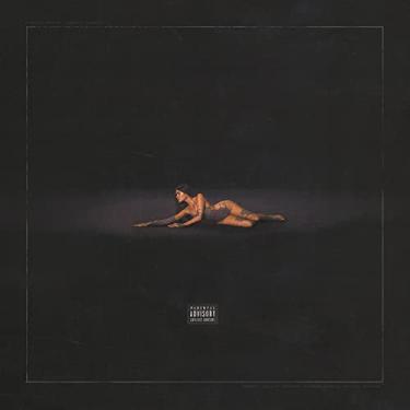 Imagem de Life Support [Disco de Vinil]