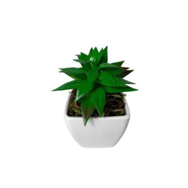 Imagem de Mini Suculenta Artificial Vaso de Plástico Branco - Multshop, Verde 01