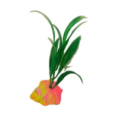 Imagem de Decoração Lester Planta Mini para Aquários